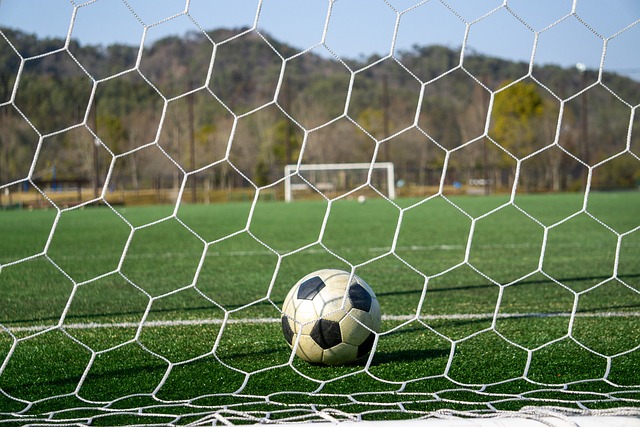 篮球湖人媒体日热度爆表，多人亮相